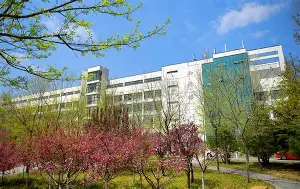 博彩论坛-青岛黄海fc吧